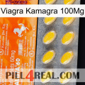 Viagra Kamagra 100Mg new05